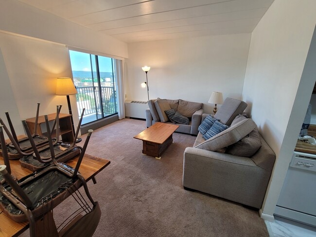 Spacious Living Room - 255 E Beaver Ave