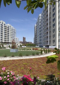surrounded by gardens - 4022 College Point Blvd