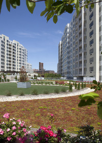 surrounded by gardens - 4022 College Point Blvd