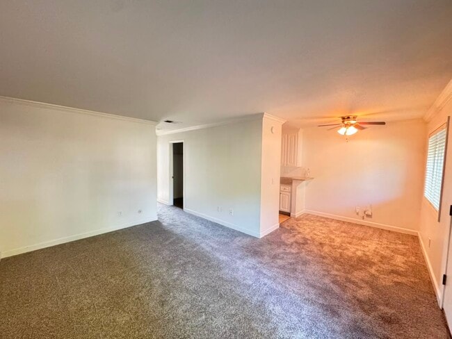Building Photo - 356 Robinson St