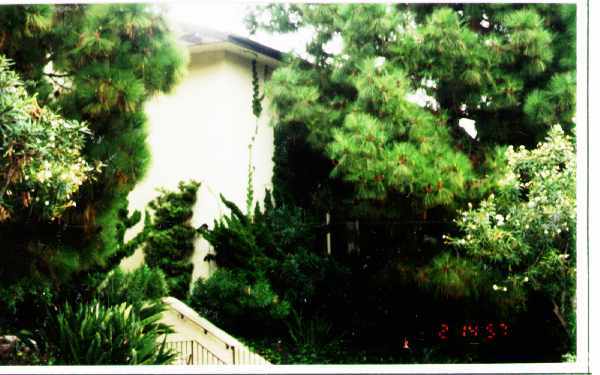 Amigos Way Newport Beach Ca Amigos Way Newport Beach Ca