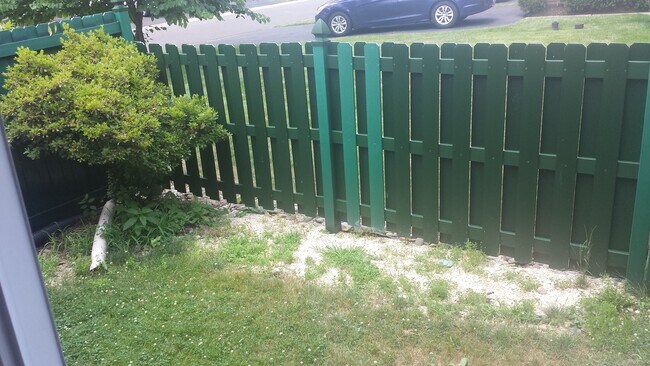 Fenced back yard - 650 Alder Ct