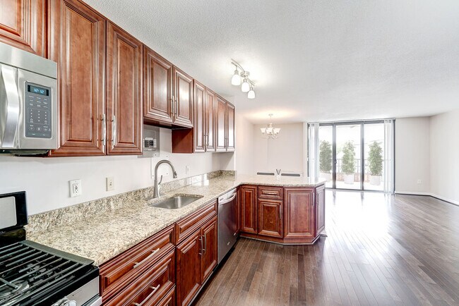 Gourmet kitchen with 42" walnut cabinetry and large sink! - 4242 East West Hwy Apartment