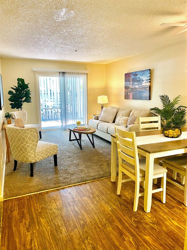 Shared Living Room - Allegro Dorm-Style Apartments