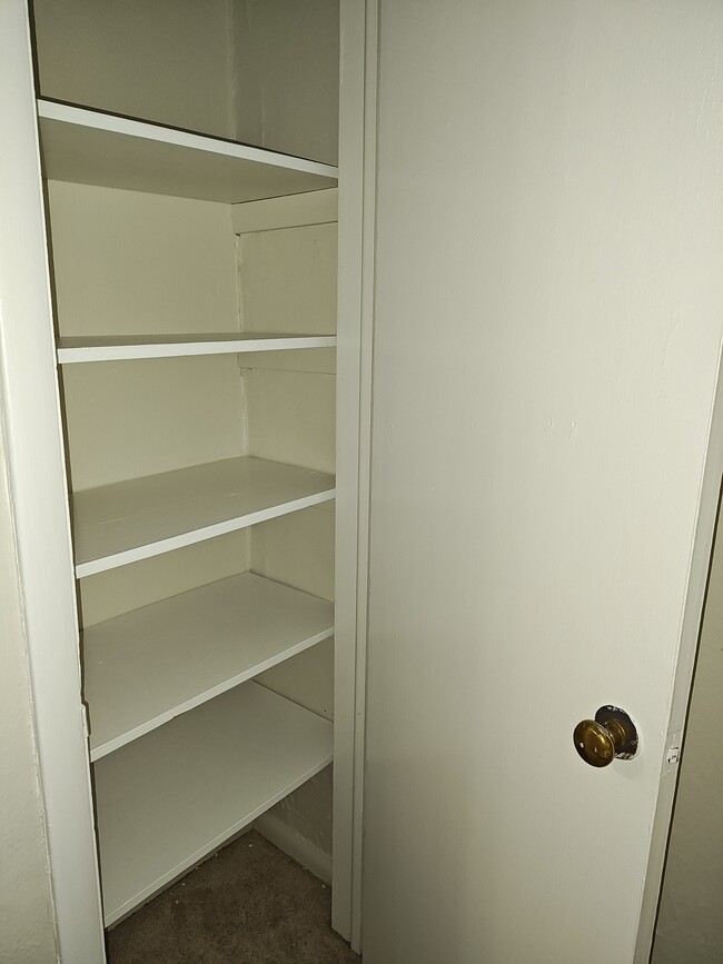 Bedroom Closet - 2733 Girard Ave S