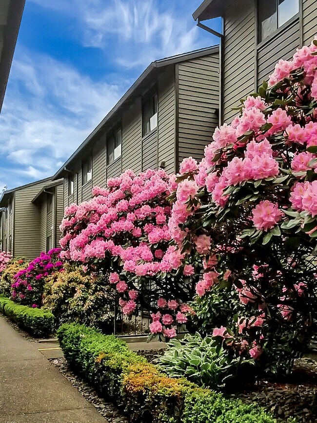 Foto del edificio - Erica Village