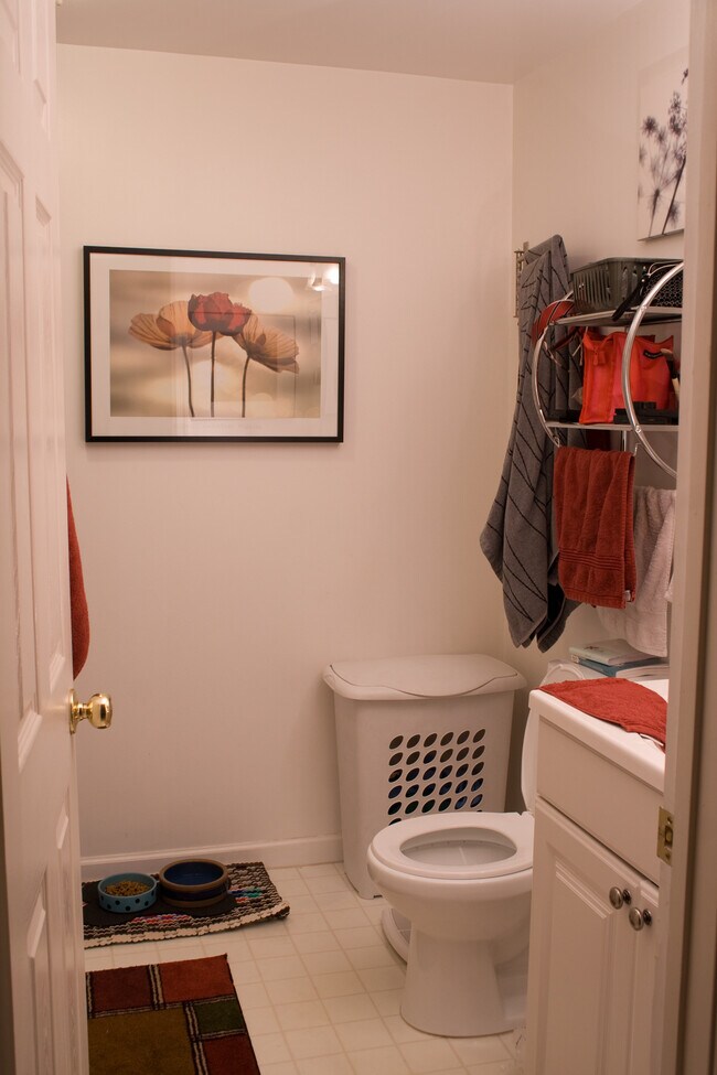 Baño del sótano - 9396 Steeple Ct