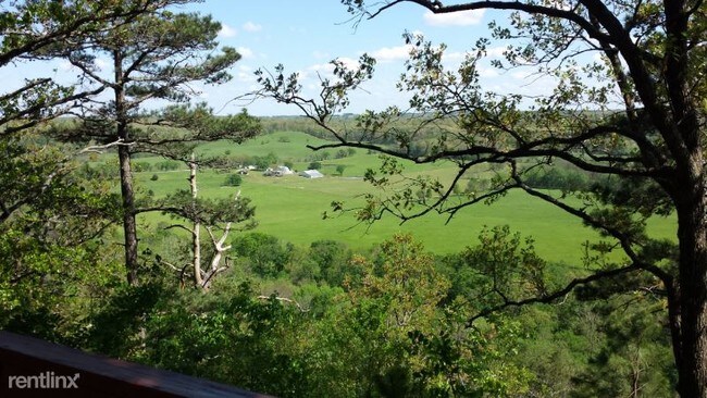 Foto del edificio - 4 br, 2 bath House - 23227 Flint Ridge Road