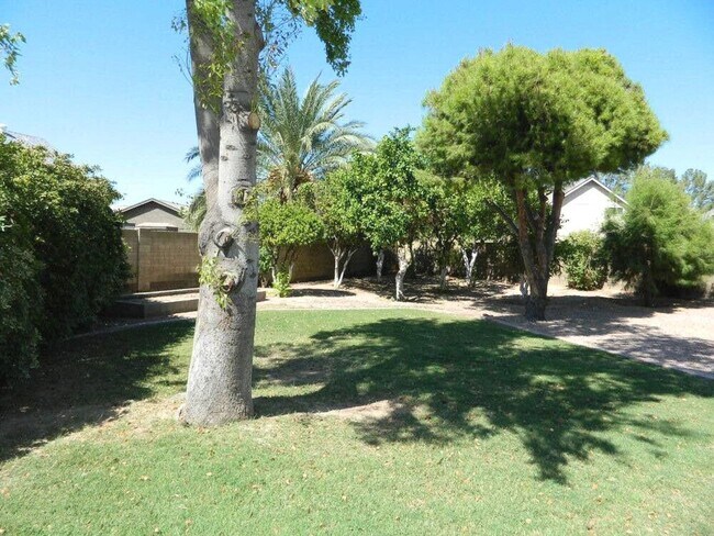 Foto del edificio - Nice Chandler Home