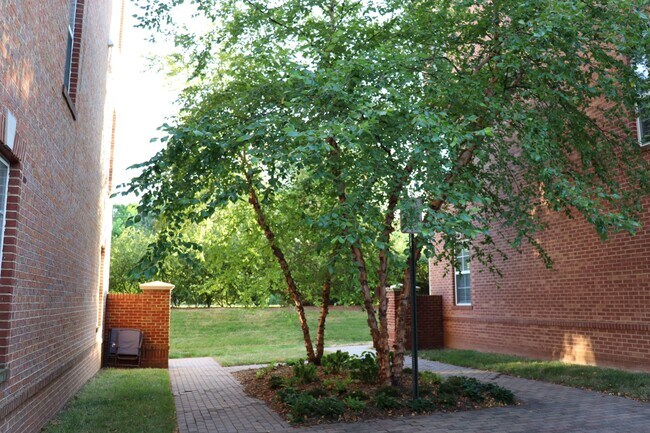 Espacio abierto entre unidades - 222 Herndon Station Sq