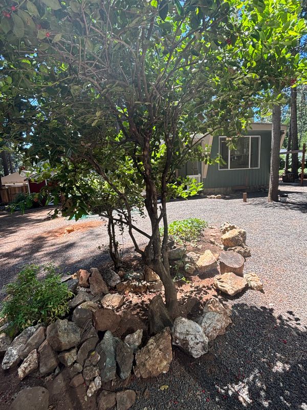 Foto del edificio - 14737 Wildlife Dr