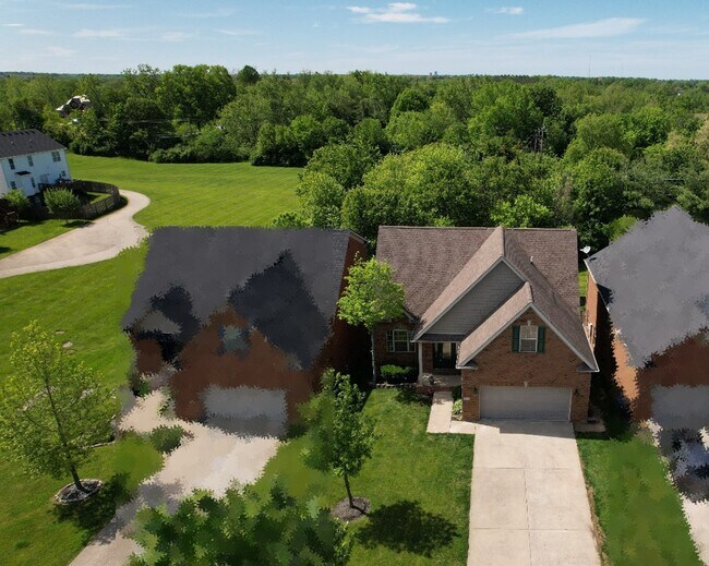 393 Hays Front - Vista elevada con bosques y espacios verdes - 393 Hays Blvd