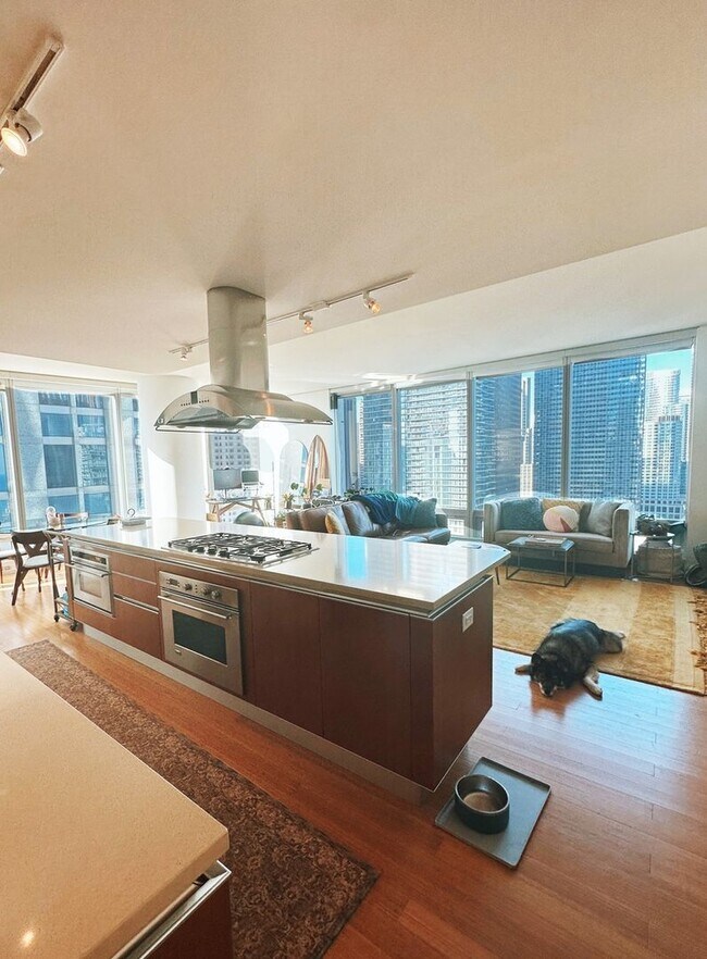 Foto del edificio - 1244 Square foot, luxury condo in Lakeshore East, Chicago