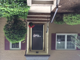 Primary Photo - 307 Lincoln Park E