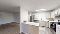 This single-floor residence presents a clean, contemporary aesthetic throughout its well-organized layout. The kitchen is a standout feature, outfitted with two-tone gray and white shaker-style cabinetry, white countertops, and a full suite of stainless steel appliances including a refrigerator, dishwasher, and electric range with an under-cabinet ventilation hood. A peninsula with additional counter space extends into the living area, creating a natural division between the kitchen and the adjoining living spaces. Wood-look flooring runs through the kitchen and extends into the main living area, which features a ceiling fan and a sliding glass door that provides access to an outdoor area and fills the space with natural light. Carpeted areas offer a softer feel in the transition zones and bedroom, which is a well-proportioned room with a window overlooking the surrounding neighborhood and baseboard heating. Two bathrooms are each finished with wood-look flooring, a single vanity with a large mirror, and a shower-tub combination enclosed by sliding frosted glass doors. A dedicated laundry area accommodates a full-sized top-loading washer and dryer with overhead shelving for additional storage.
