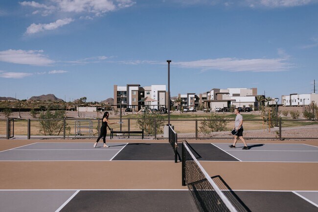 Prácticas canchas de pickleball en The Park - Amavida Marana