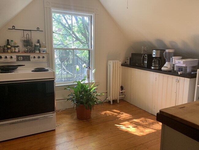 Kitchen - 16 Harris St