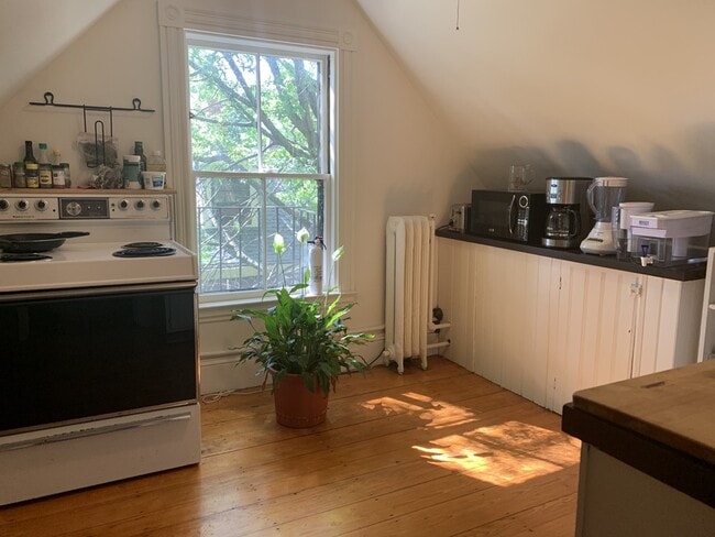 Kitchen - 16 Harris St