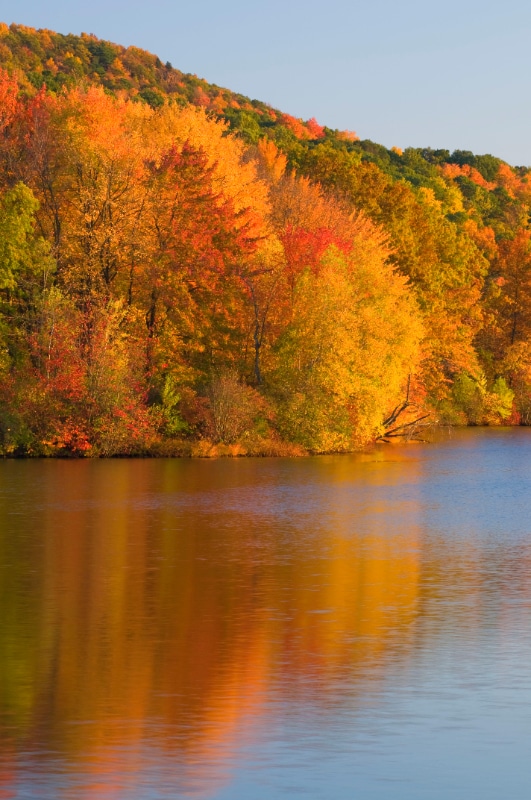 Foto del edificio - 14 Edgewater Cir