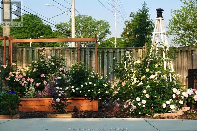 Photo du bâtiment - 3795 Askin Ave