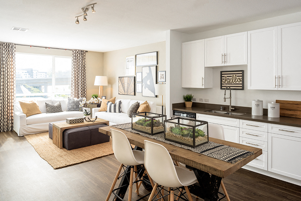 Custom white shaker-style cabinetry - Apex Laguna Niguel Apartments