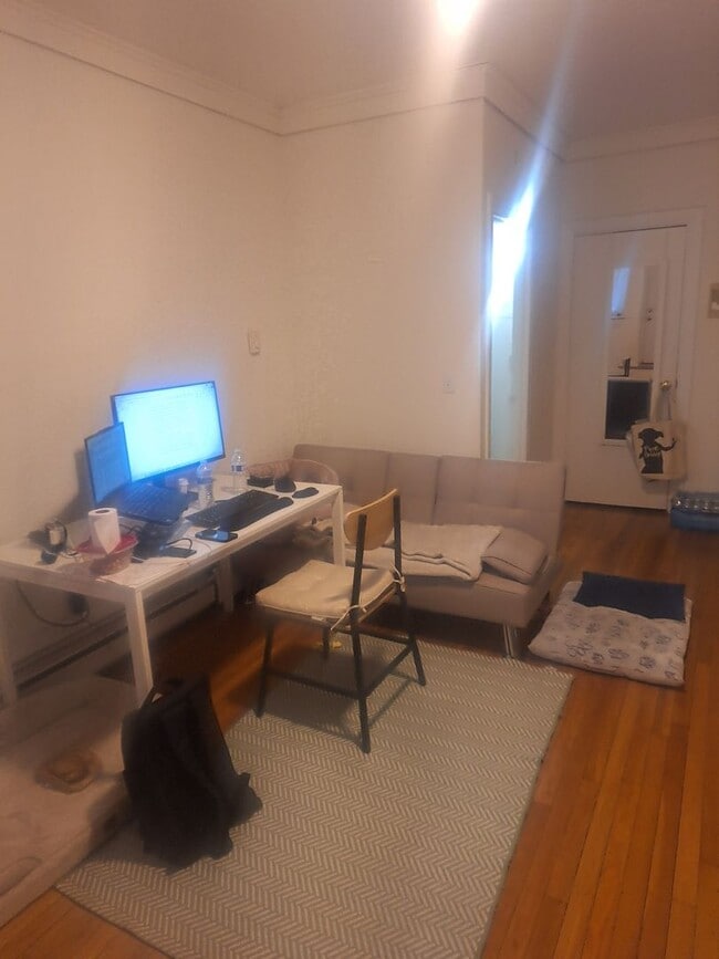 Building Photo - 7/1  No Fee! - Renovated Back Bay 1BR