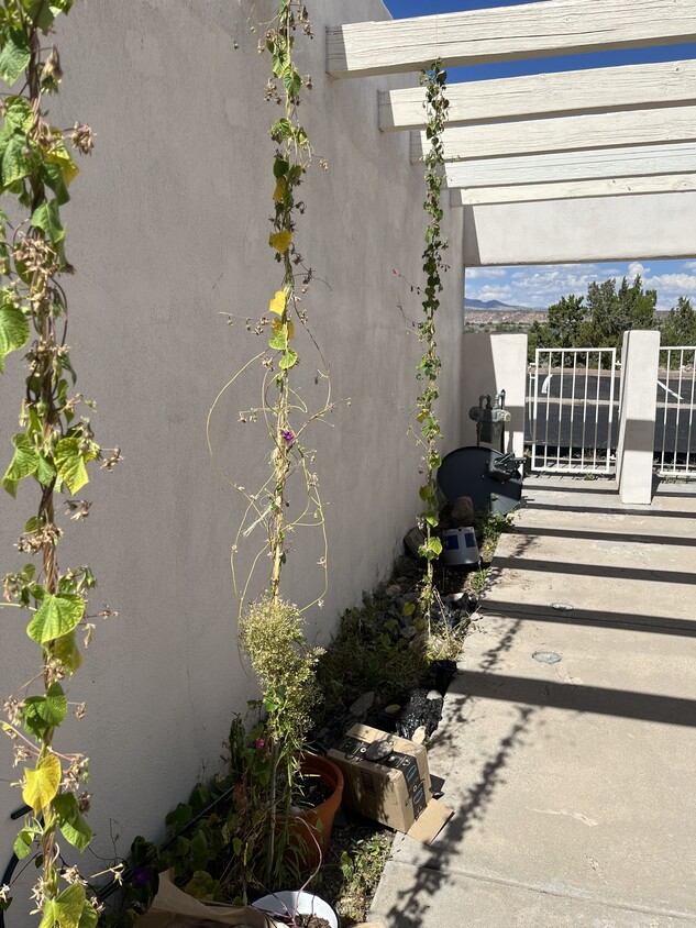 Foto principal - 6495 Tahawash St