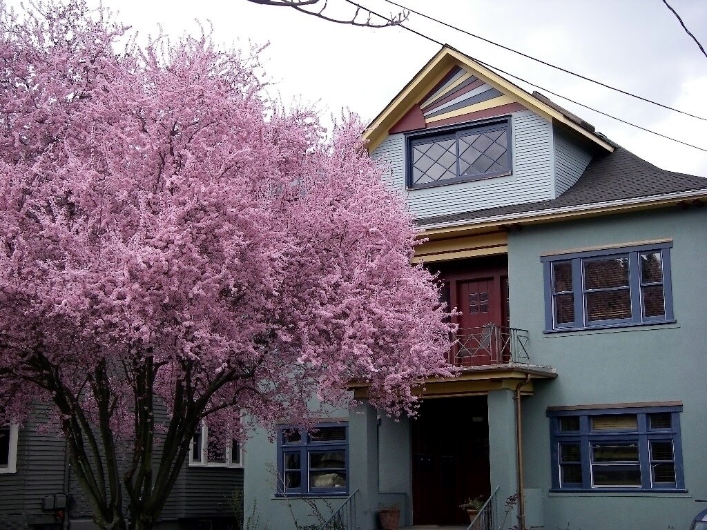 Foto principal - 2465 NW Northrup St