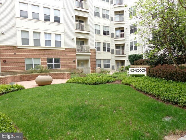yard - 2765 Centerboro Dr
