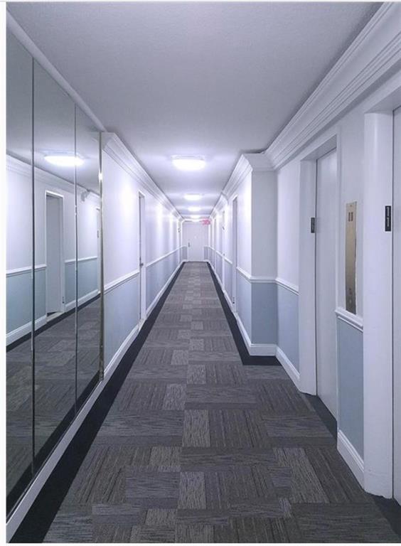 Foto del edificio - 1311 Brightwater Ave