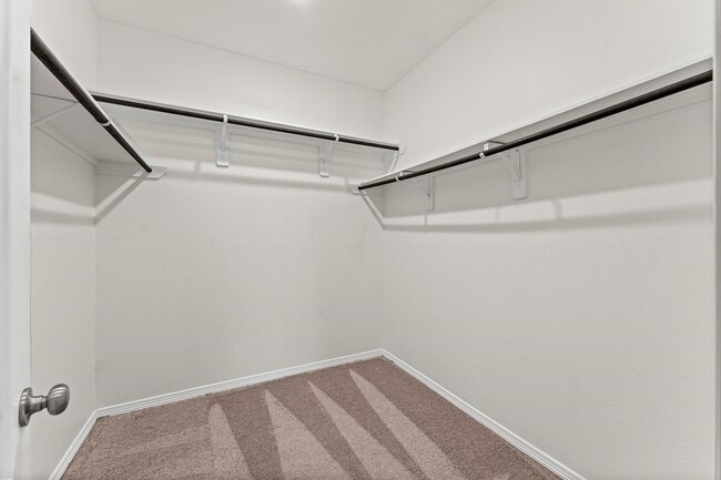 Foto del edificio - 10818 Catclaw Ct