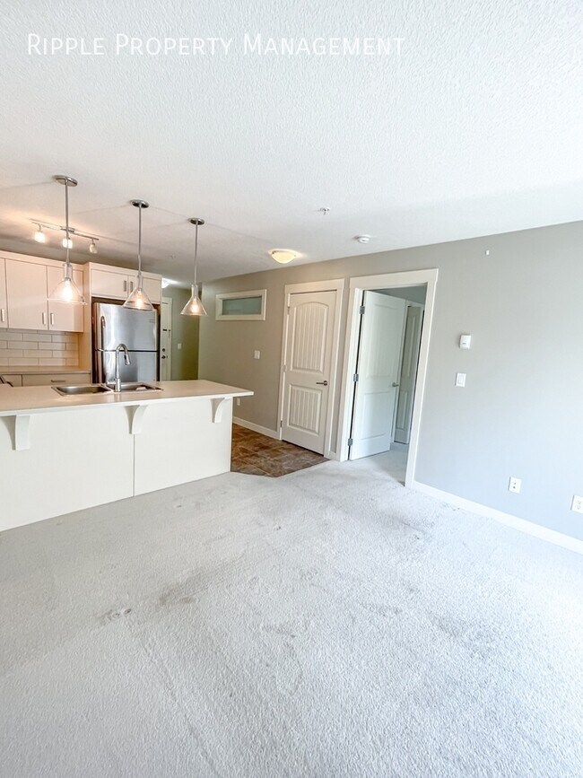Photo du bâtiment - Modern 2 Beds, 1 Baths Apartment/Condo | N...