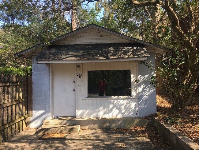 Building Photo - 243 S Lipona Rd