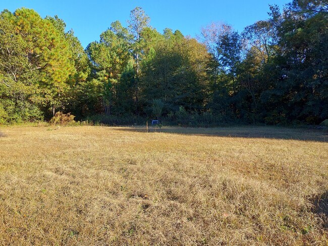 Foto del edificio - 161 Suzanne Ct