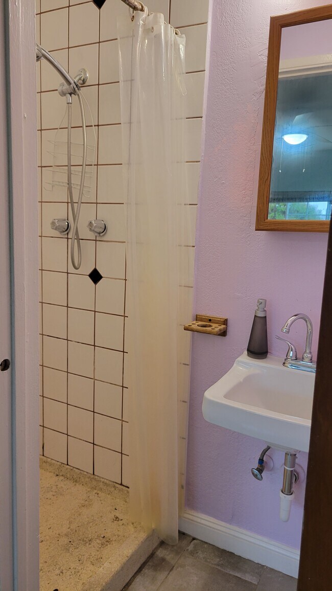 Standing shower - 2237 Coolidge Ave