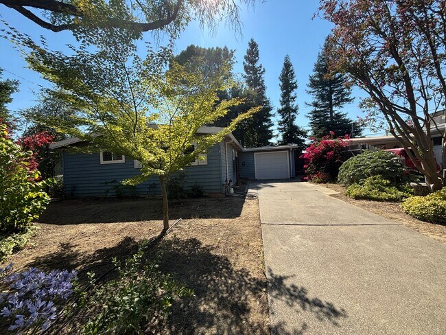 Building Photo - Super Cute 3 bed 2 bath Home in Central Da...