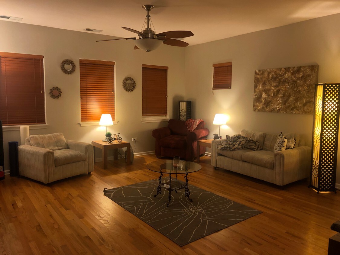 Living Room - 1415 S Halsted St