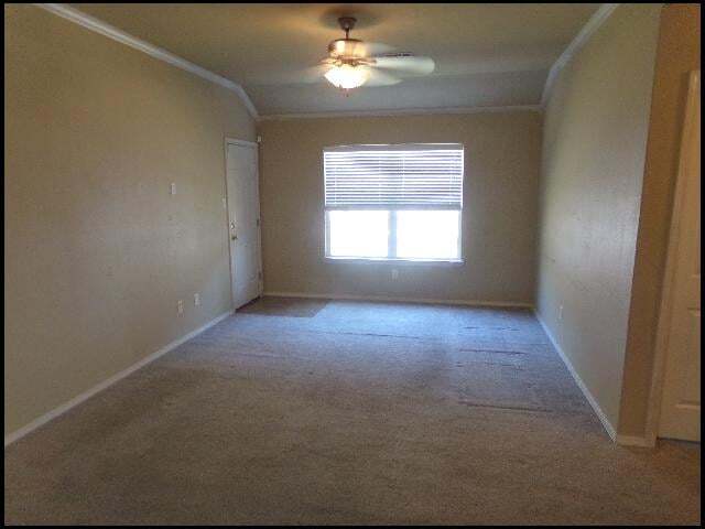 Foto del edificio - 316 Saunders Dr