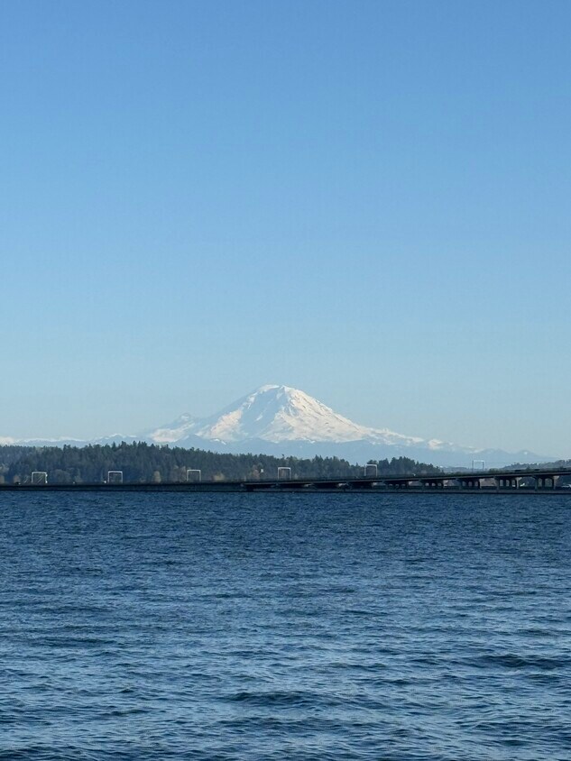 View from the deck - 334 Lakeside Ave S