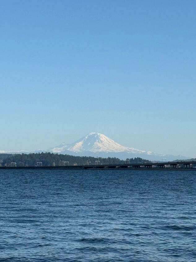 View from the deck - 334 Lakeside Ave S