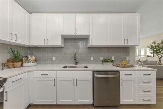 Interior Photo - Everest Largo Apartments