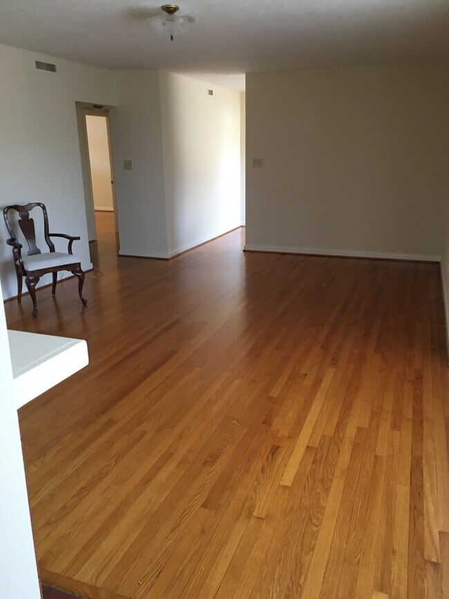 living room - 255 Mills Ave