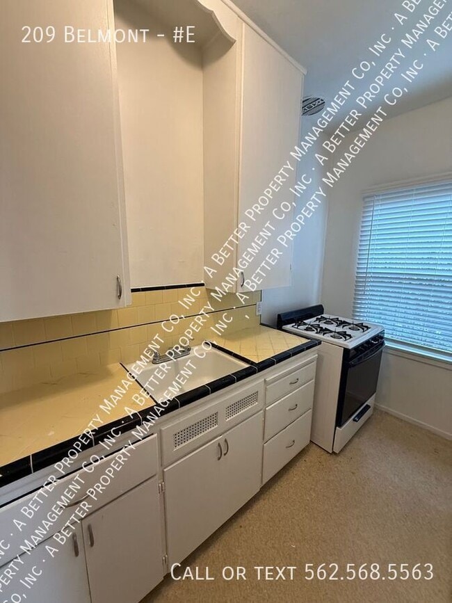 Building Photo - 209 Belmont-#E