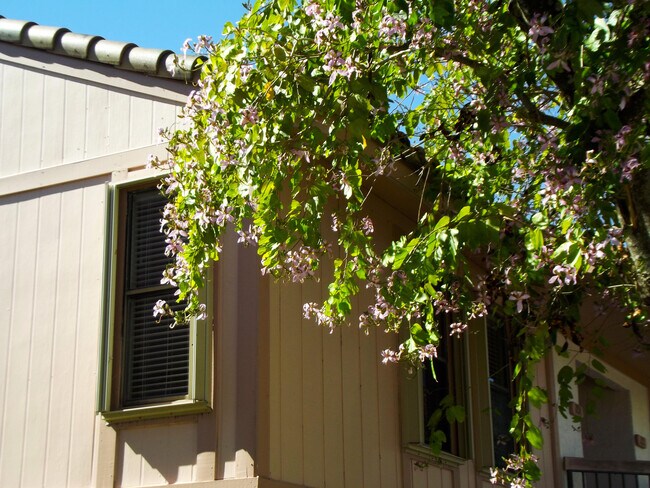 Foto del edificio - 3355 Jaywood Terrace