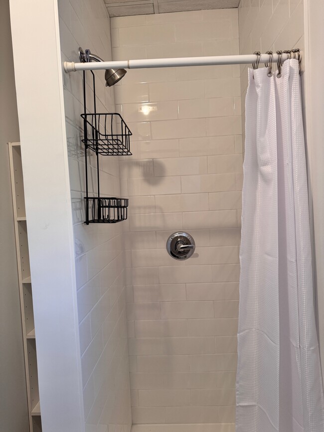 shower - 51 Orchard Pl