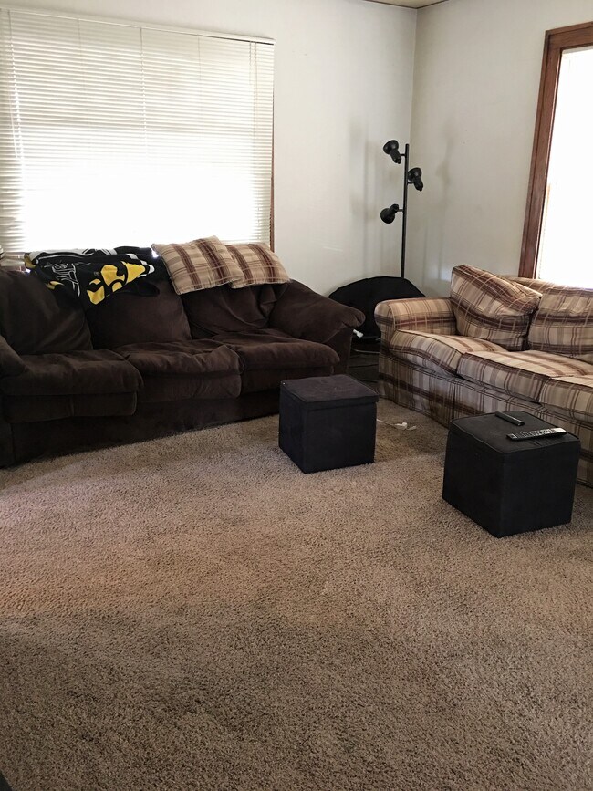 Living Room - 109 E Prentiss St