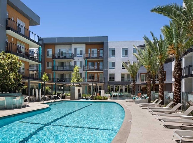 Pool - AMLI Uptown Orange Apartments