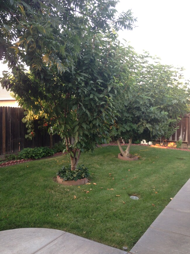 Building Photo - 1935 Cork Oak Ln