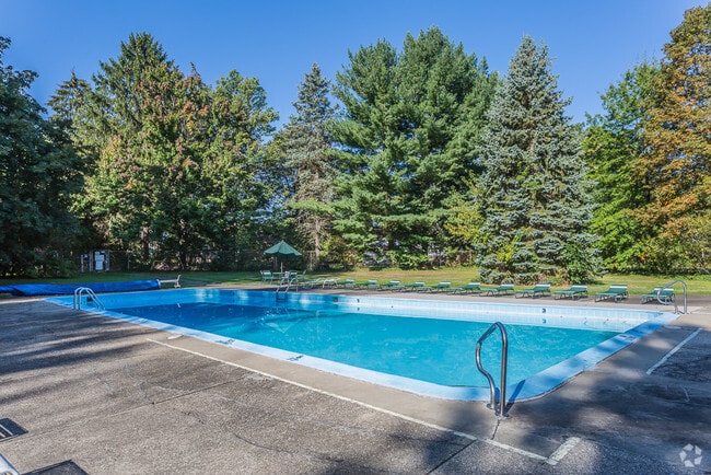 Pool Area - Wynwood Apartments
