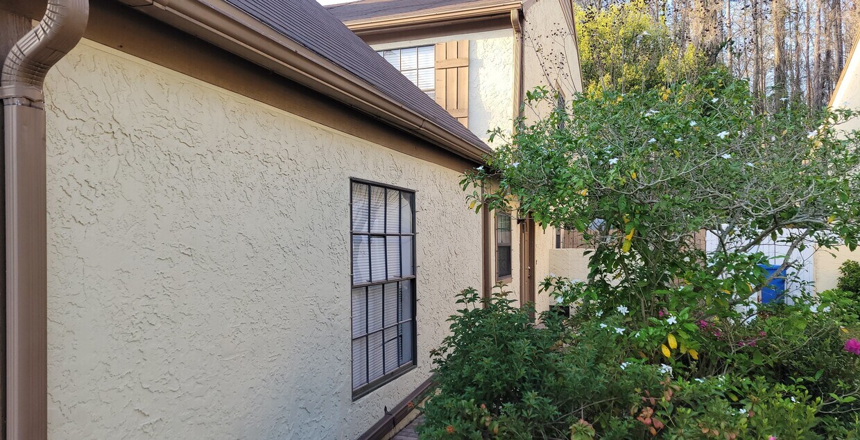 4017 Huxford Ct, Tampa, FL 33624 Townhome Rentals in Tampa FL